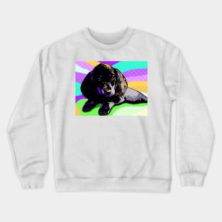 Dog 154 Dachshund Crewneck Sweatshirt